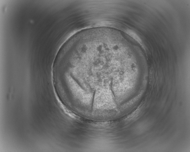 X0000074341047200609230113