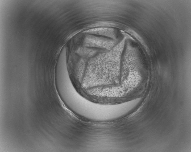 X0000074341049200609230113