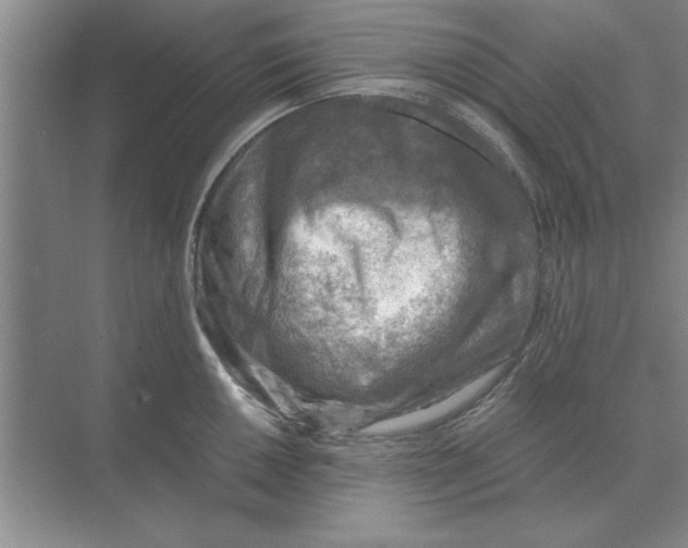 X0000074341050200609230113