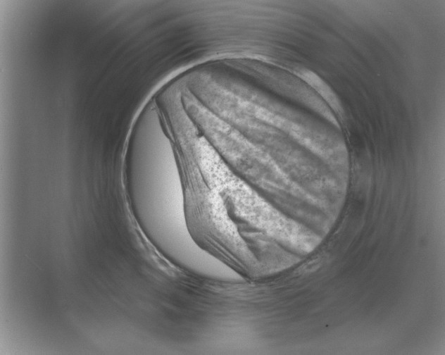 X0000074341052200609230113