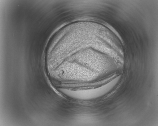 X0000074341053200609230113