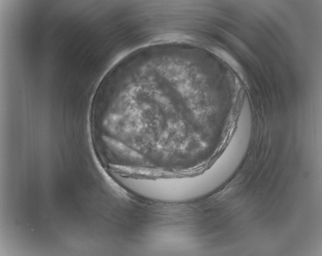 X0000074341055200609230113