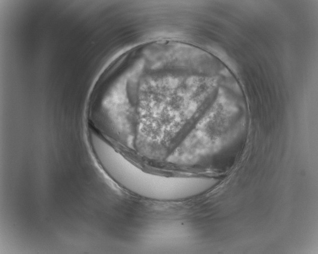 X0000074341056200609230113