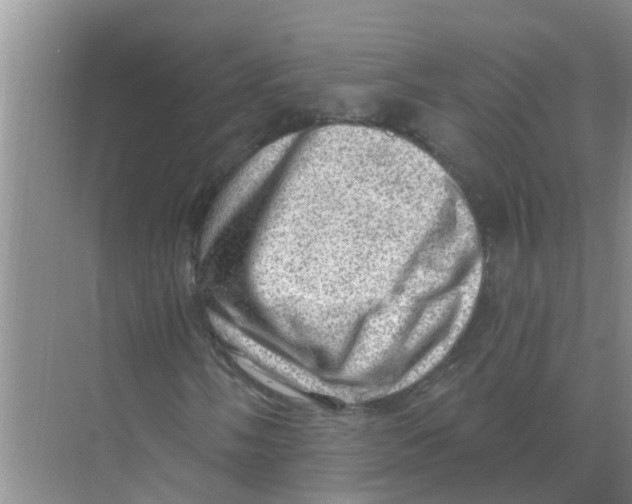 X0000074341058200609230112