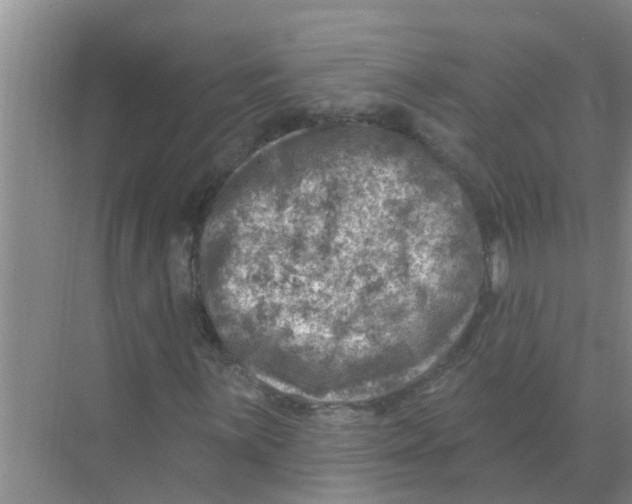 X0000074341059200609230112