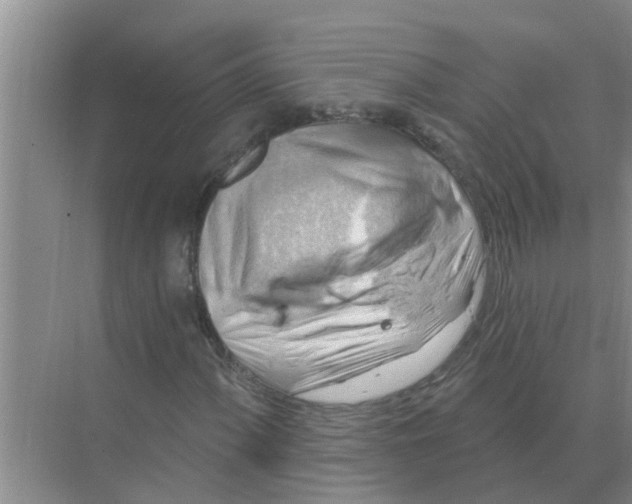 X0000074341060200609230112