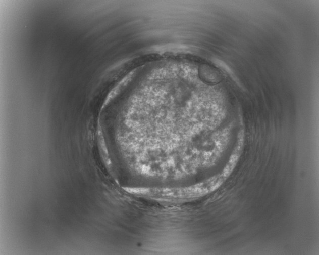 X0000074341063200609230112