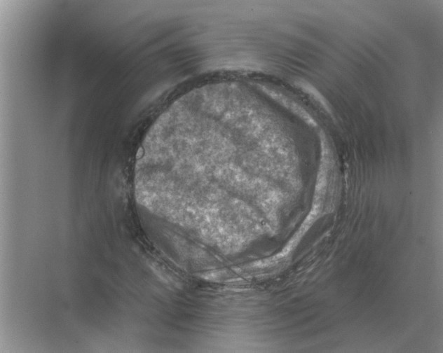 X0000074341064200609230112