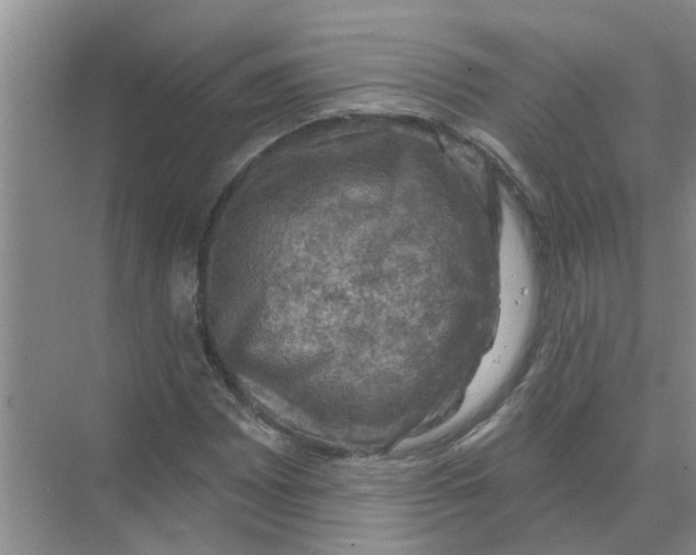 X0000074341065200609230112