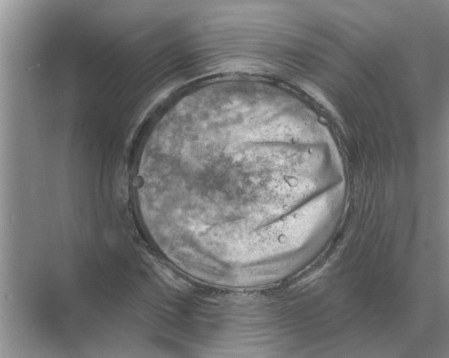 X0000074341067200609230112