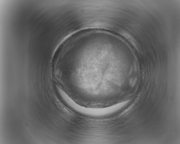 X0000074341069200609230112