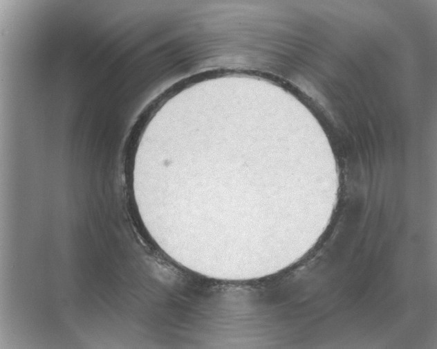 X0000074341070200609230112