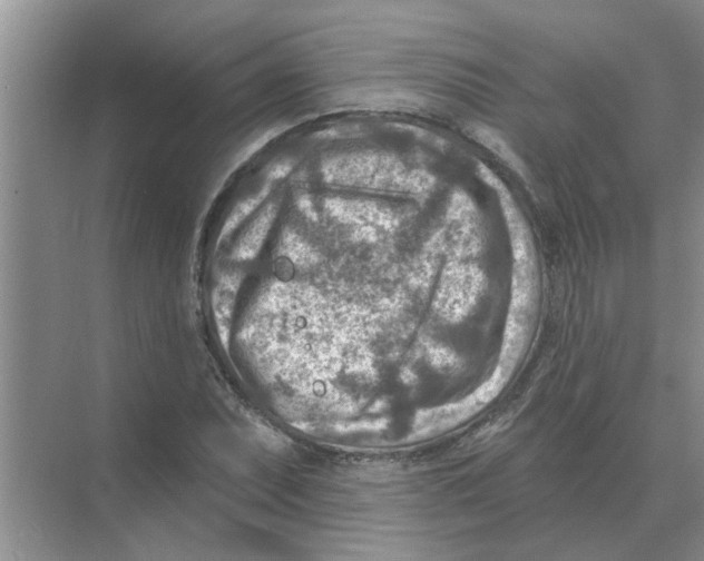 X0000074341071200609230112