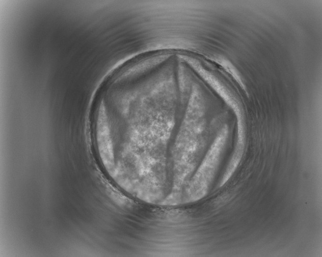 X0000074341072200609230112