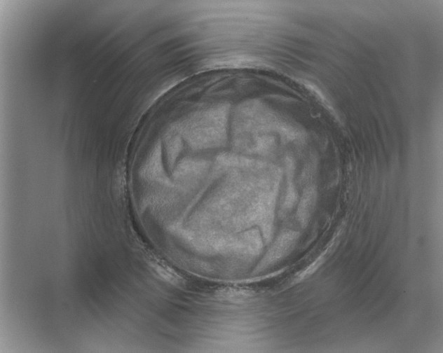 X0000074341073200609230112