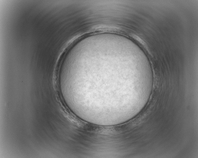 X0000074341074200609230112