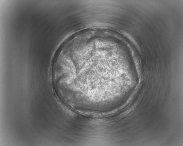 X0000074341075200609230112