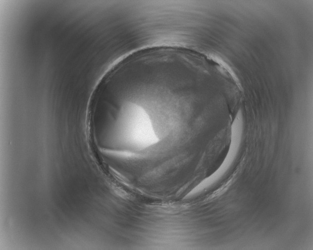 X0000074341077200609230112