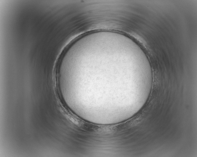 X0000074341078200609230112