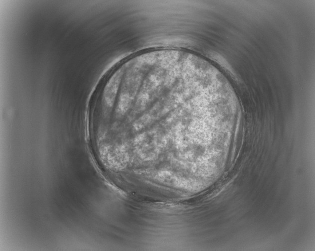 X0000074341079200609230112