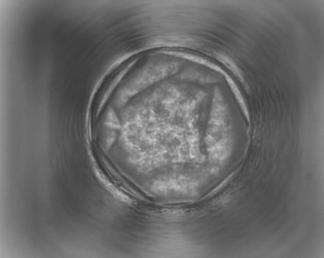 X0000074341080200609230112