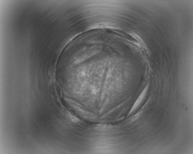 X0000074341081200609230112