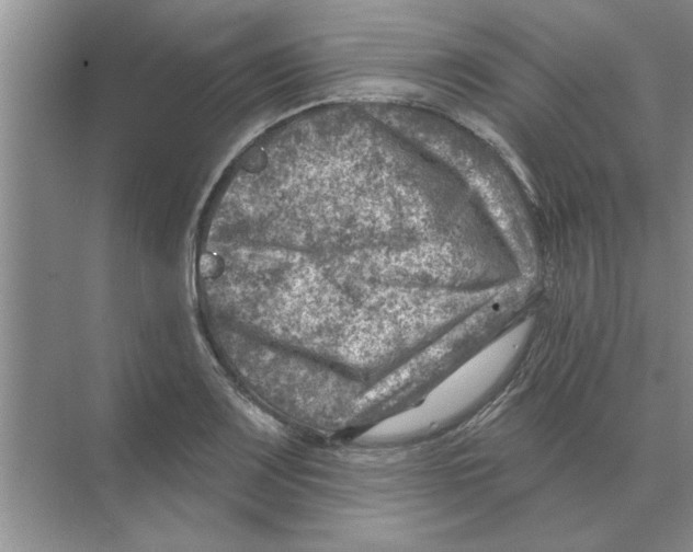 X0000074341083200609230112