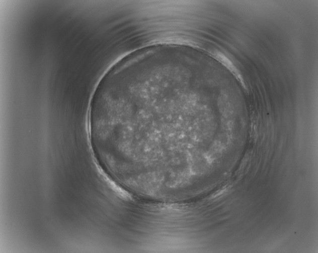 X0000074341084200609230112