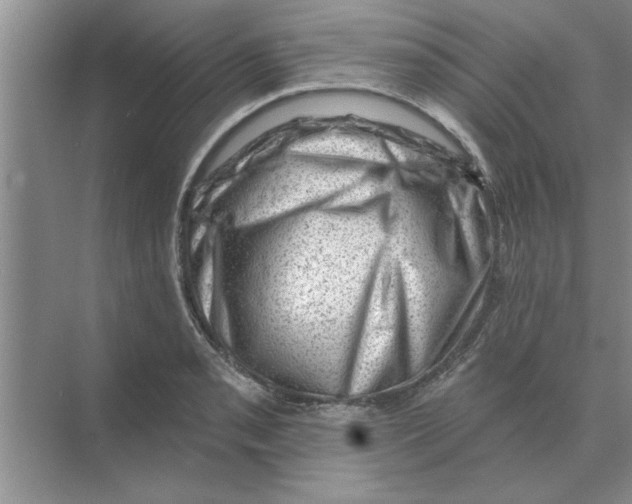 X0000074341085200609230112