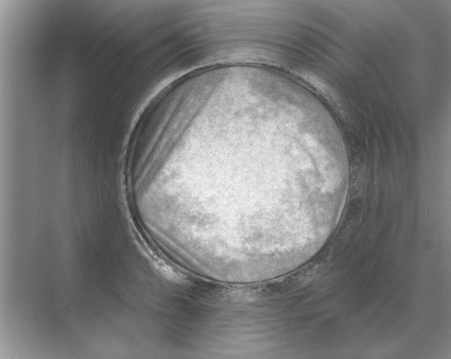 X0000074341086200609230112