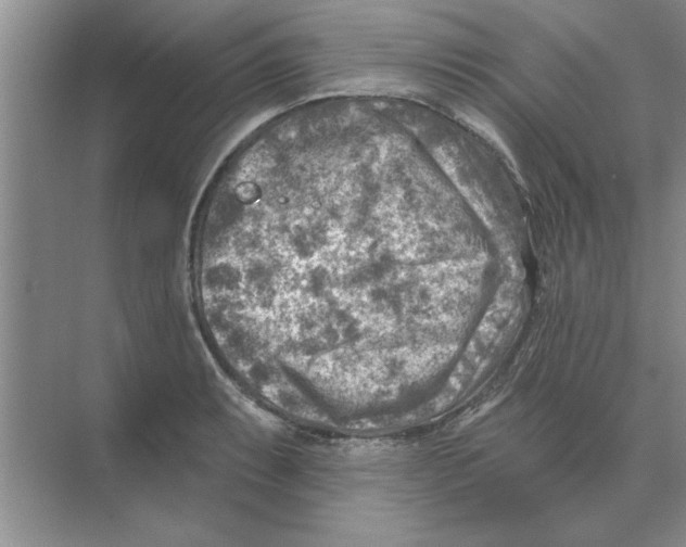 X0000074341087200609230112