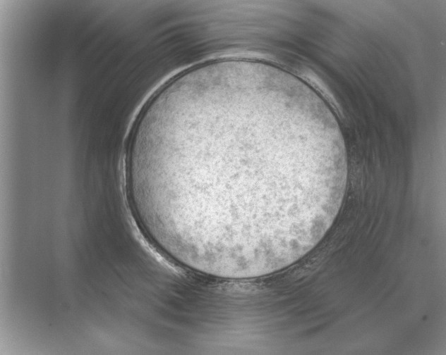 X0000074341092200609230112