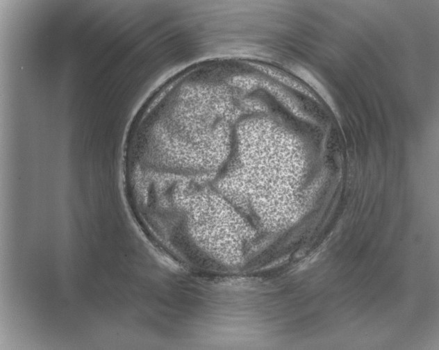 X0000074341093200609230112