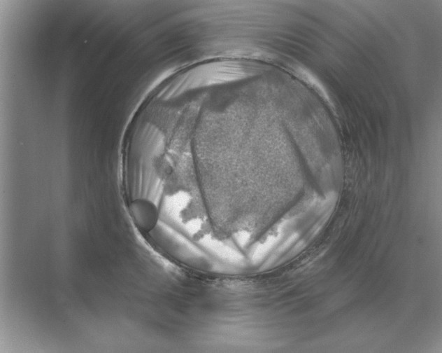 X0000074341095200609230112