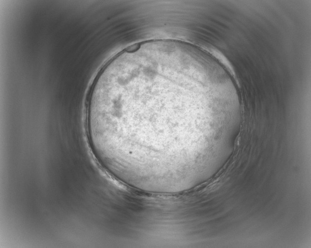 X0000074341096200609230112