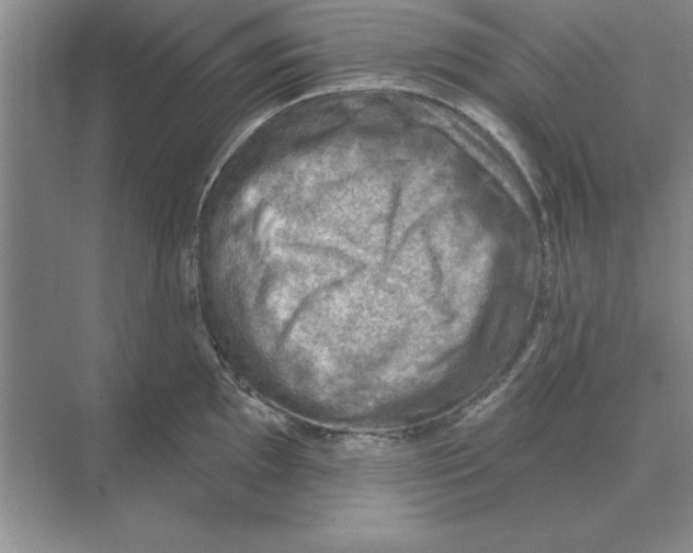 X0000074341097200609230112