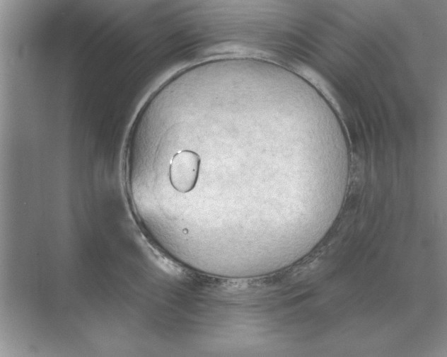 X0000074341098200609230112