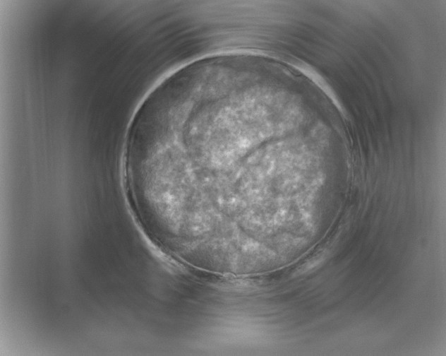 X0000074341101200609230111