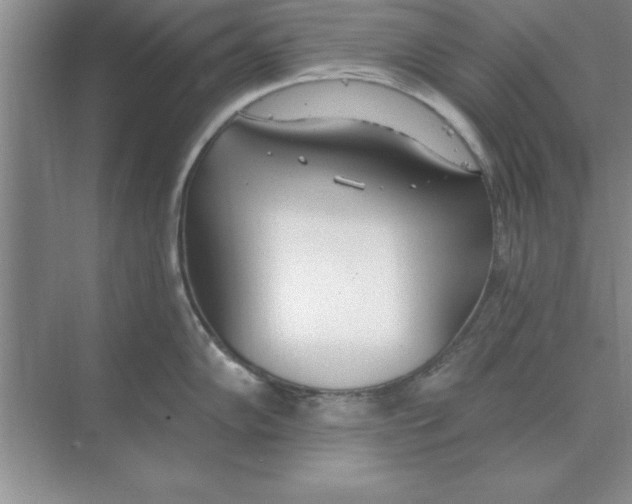 X0000074341102200609230111