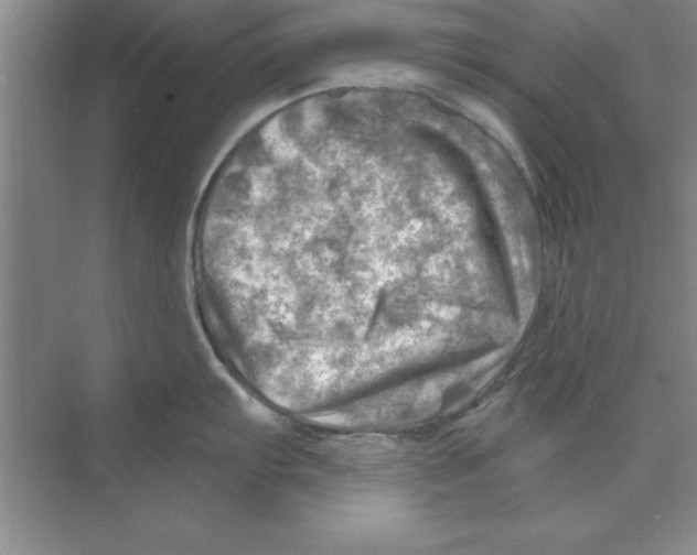 X0000074341103200609230111