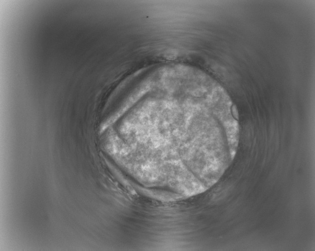 X0000074341105200609230111