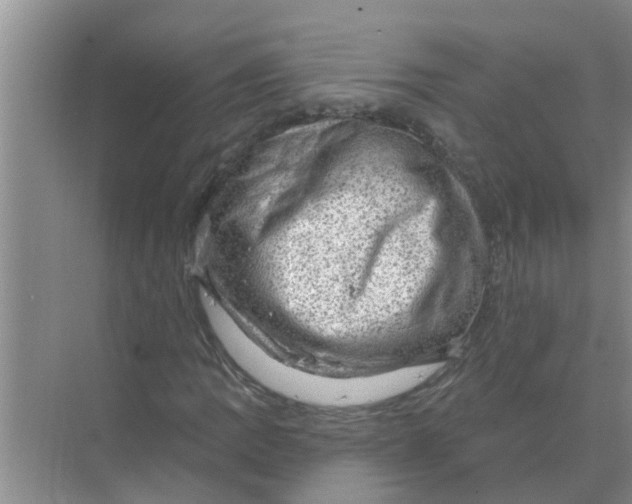 X0000074341109200609230111