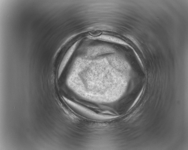 X0000074341115200609230111