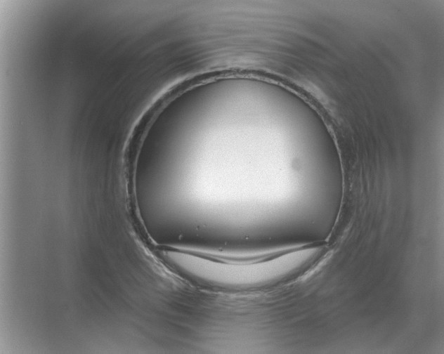 X0000074341118200609230111