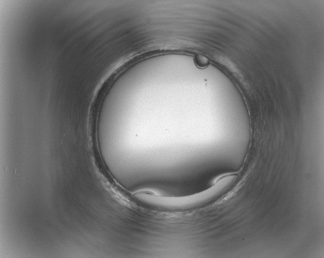 X0000074341122200609230111