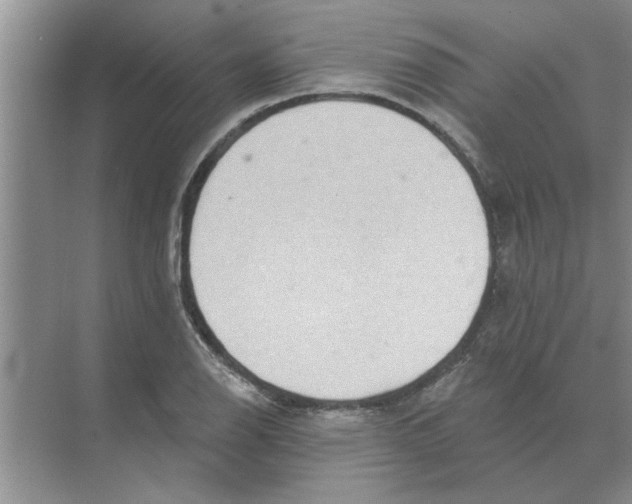 X0000074341126200609230111