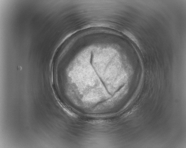 X0000074341127200609230111