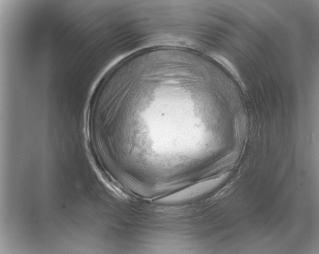 X0000074341128200609230111