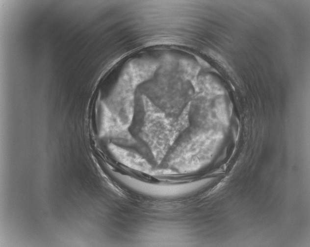 X0000074341129200609230111