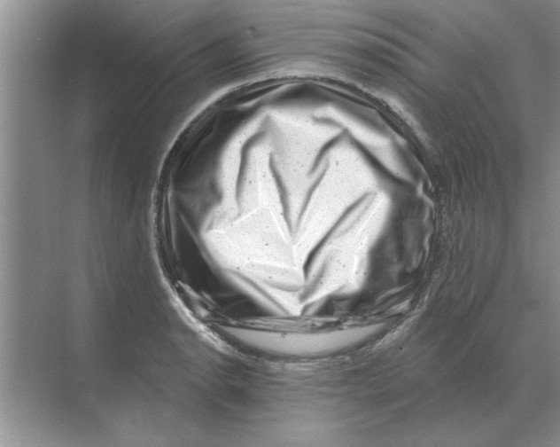 X0000074341134200609230111